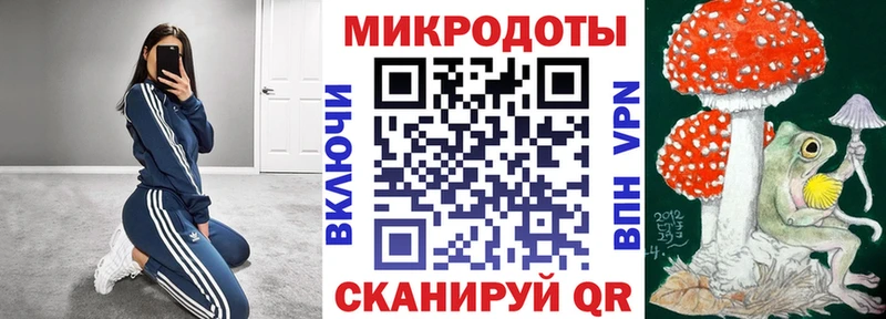 Псилоцибиновые грибы Psilocybine cubensis  Купить где  Тулун 